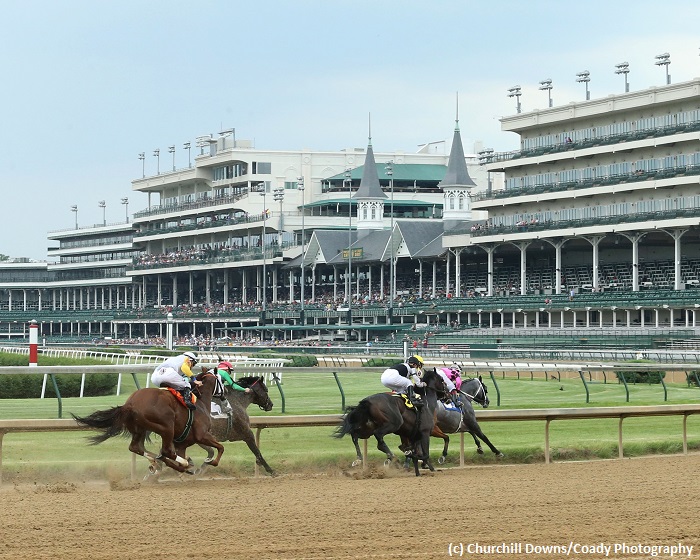 How to bet the Dogwood Stakes - Horse Racing Betting | Bet Online with ...